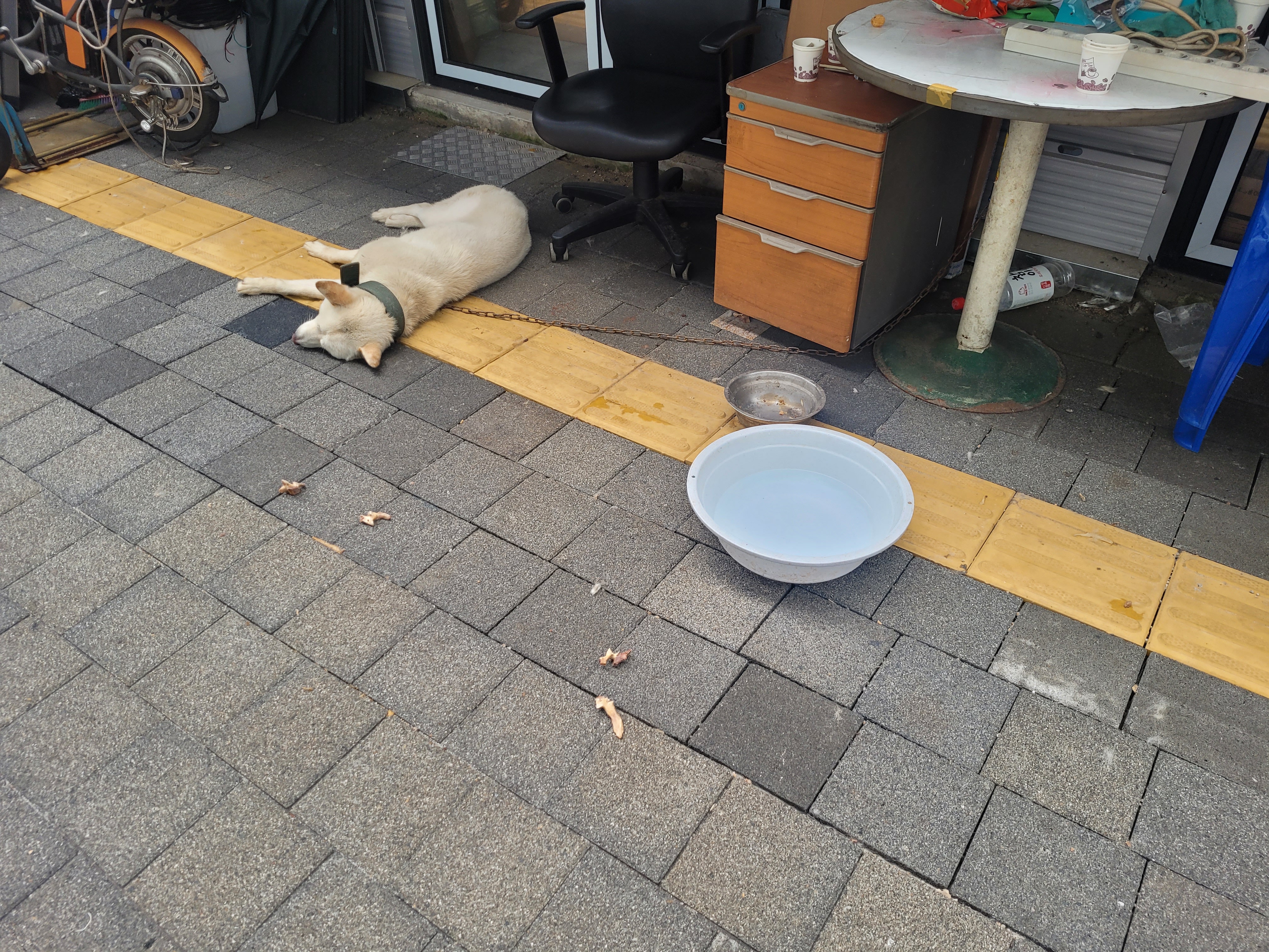 비가 와도 피할 곳이 마땅치 않아 비를 맞고 있어요.