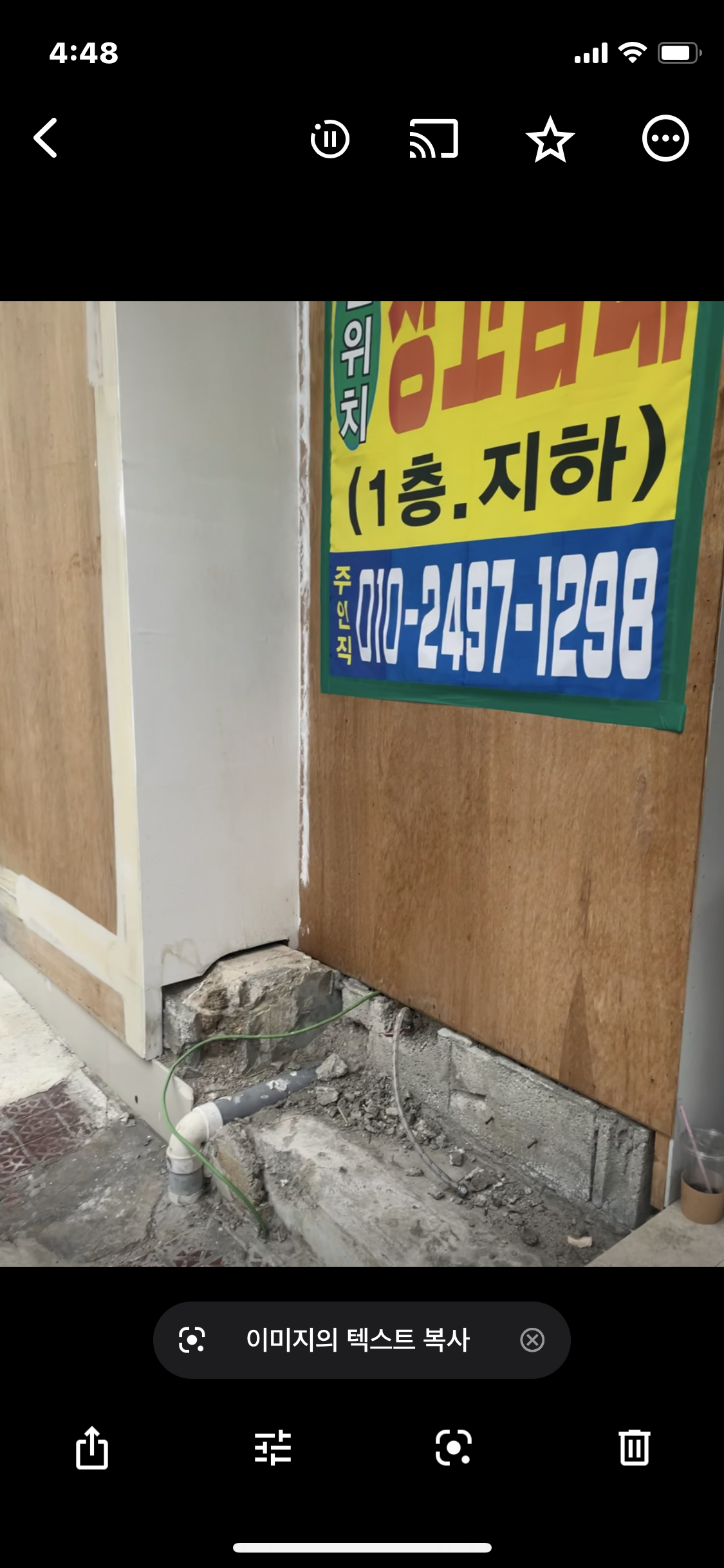 방치되어 보이는 대형견과 고양이