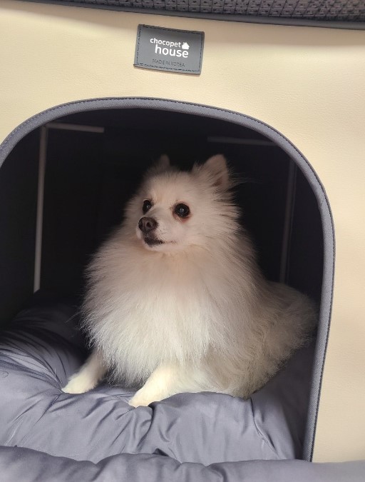  단비 (곤지암 포동이) 1년 7개월^^