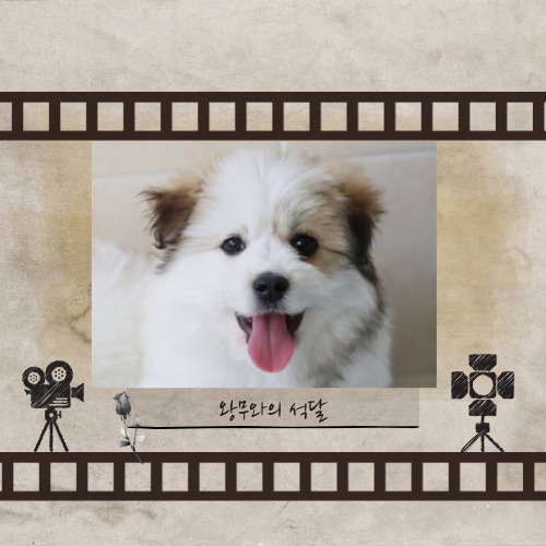 왕무와의 석달 이야기^^