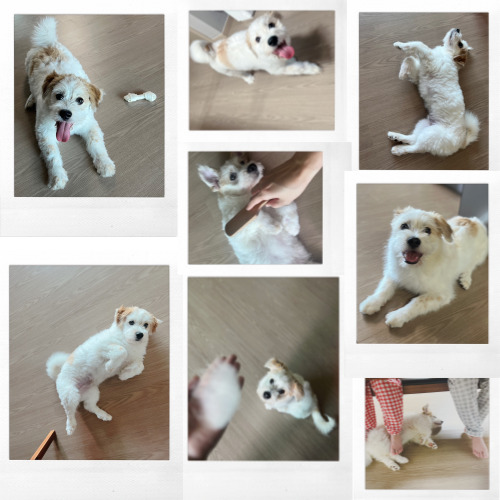 왕무와의 석달 이야기^^