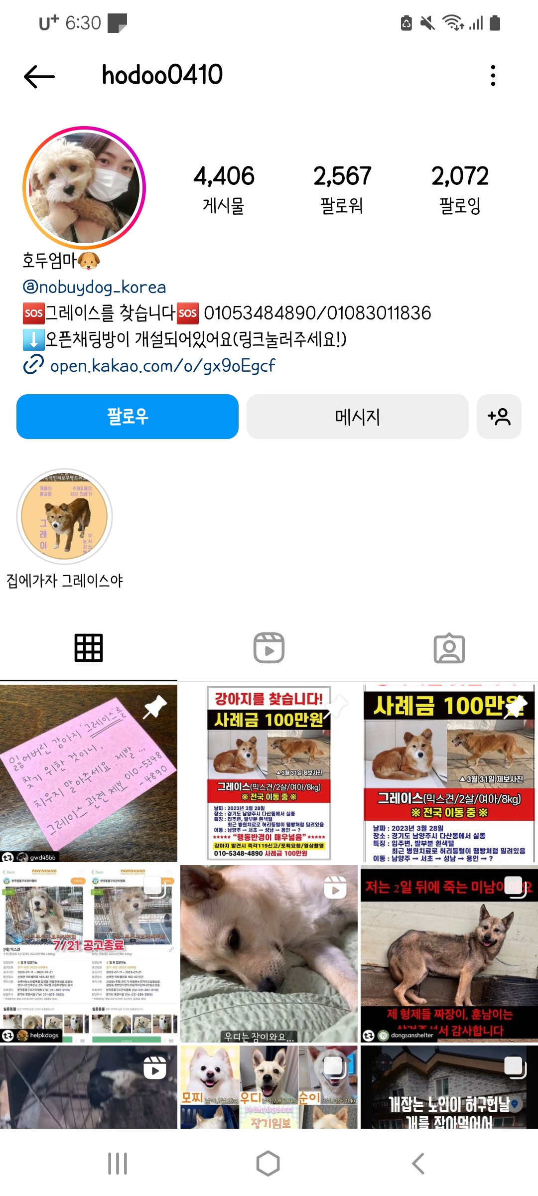 불법개도살 제보합니다