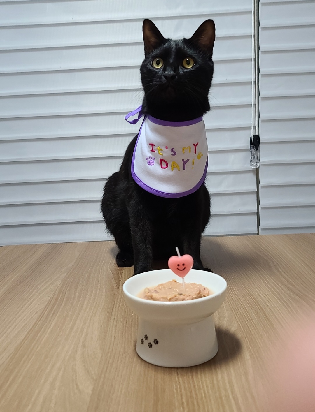 베리 1주년