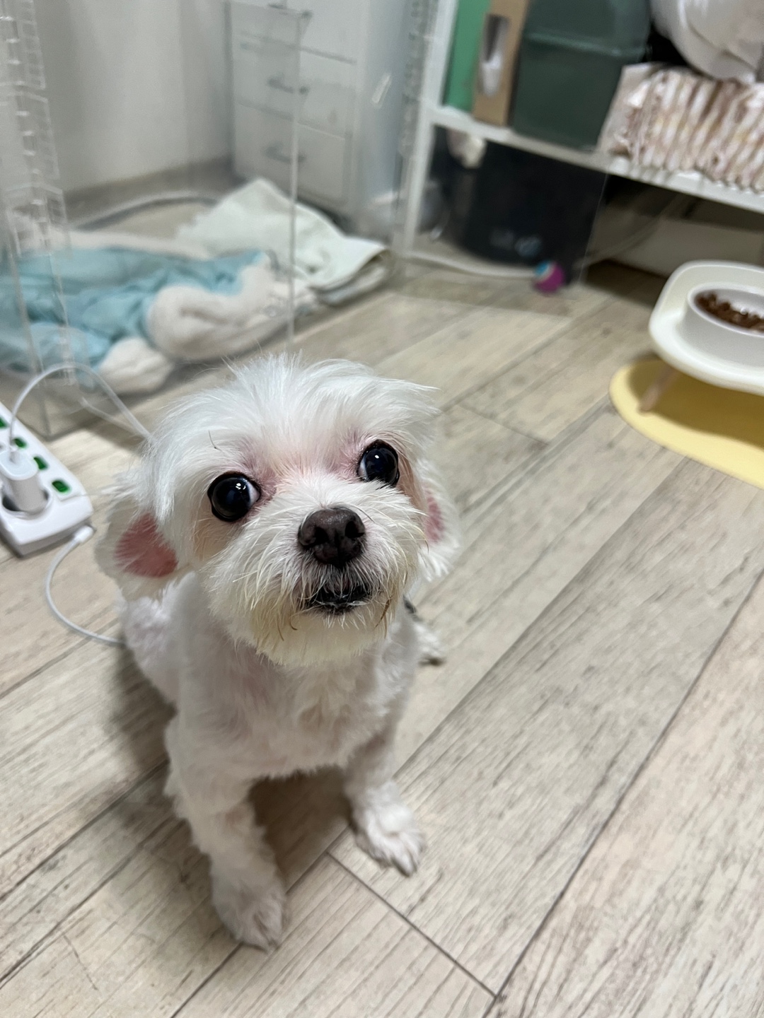 봄이 일상이야기 전해드립니다^^