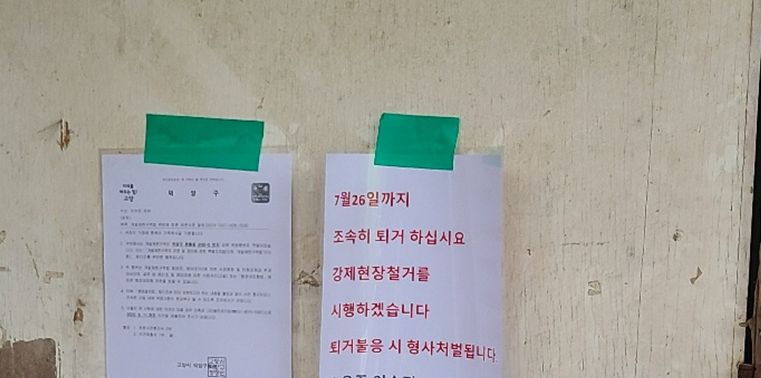 안녕하세요 도움이 필요한 강아지들이 있습니다.