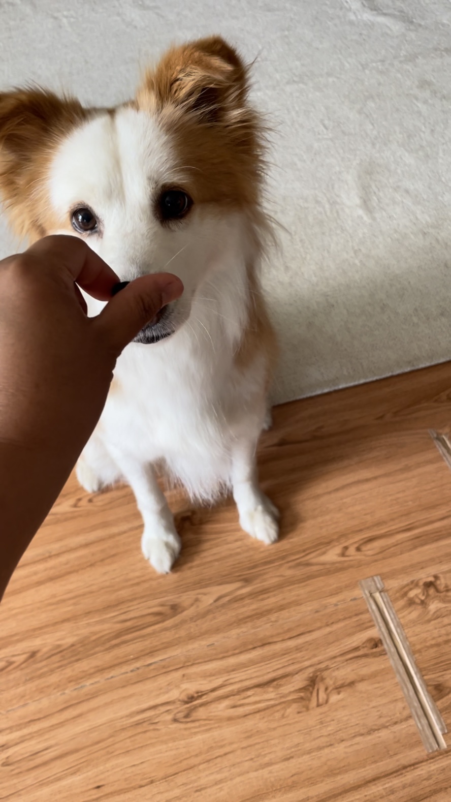 룽지의 근황