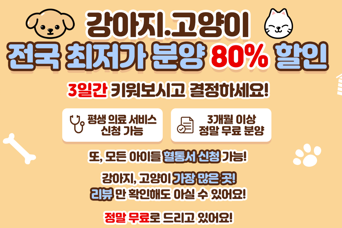 펫샵 무료분양 광고가 카카오메인페이지에 사진배너로 함께 게재되었습니다.