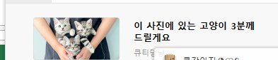 펫샵 무료분양 광고가 카카오메인페이지에 사진배너로 함께 게재되었습니다.