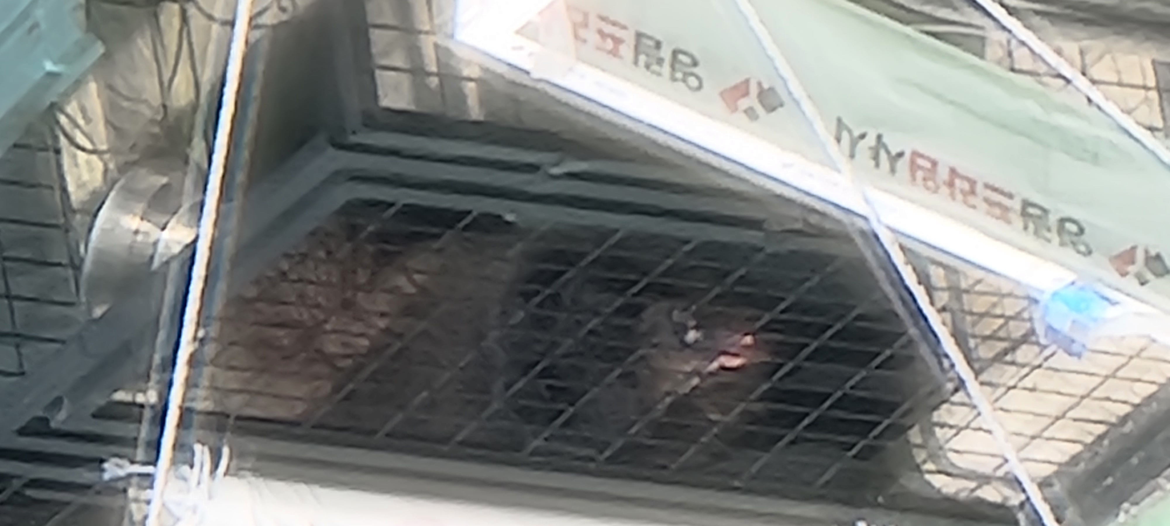 안양 교회 옥상에 대형견이 방치되어 있습니다. 도와주세요..;;