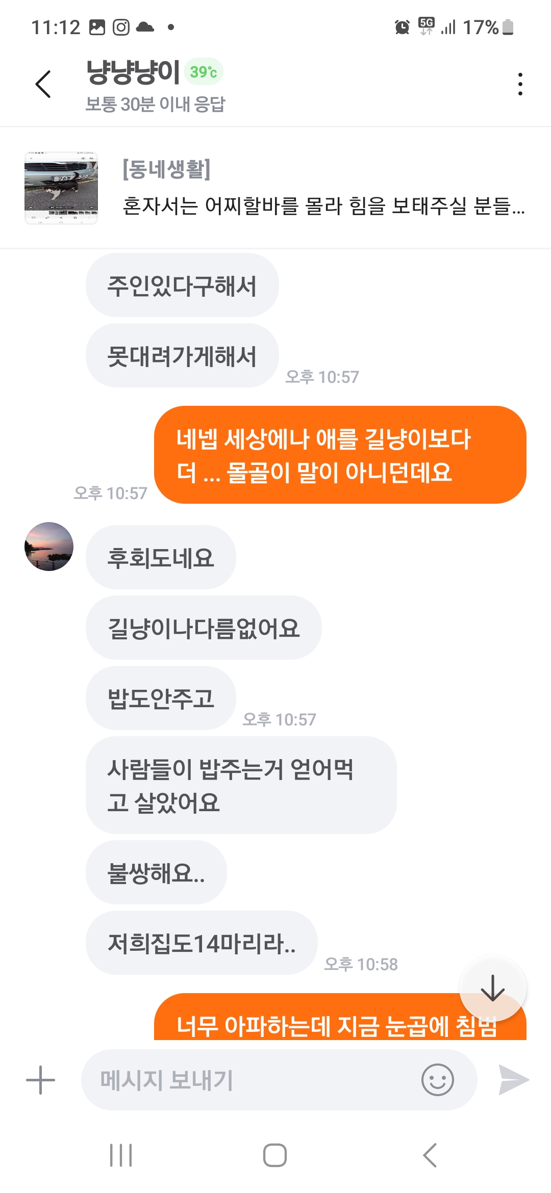 길냥이보다 못한 주인있는 고양이입니다