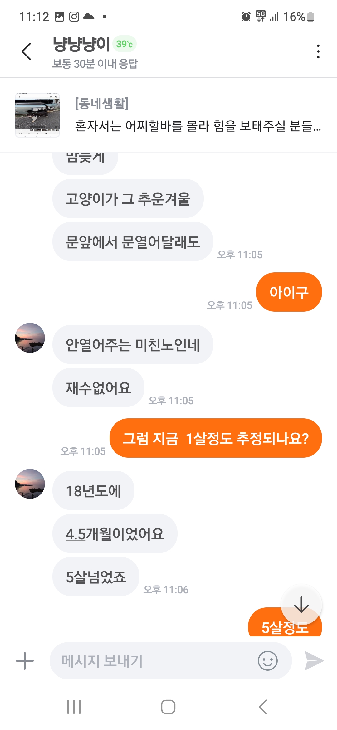 길냥이보다 못한 주인있는 고양이입니다