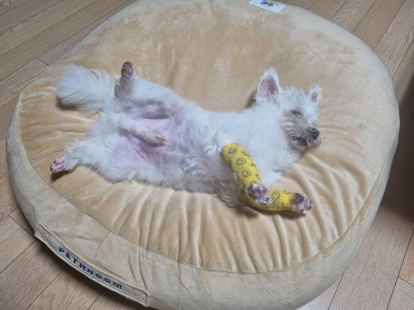 안녕하세요. 익준이가 인사드립니다.
