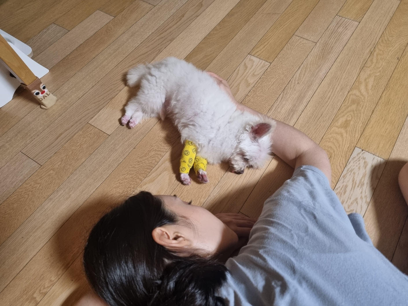 안녕하세요. 익준이가 인사드립니다.