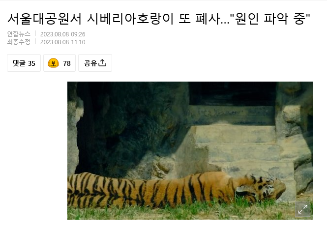 서울대공원의 연이은 호랑이의 죽음에 대해 철저한 환경과 관리자들 조사가 필요합니다.