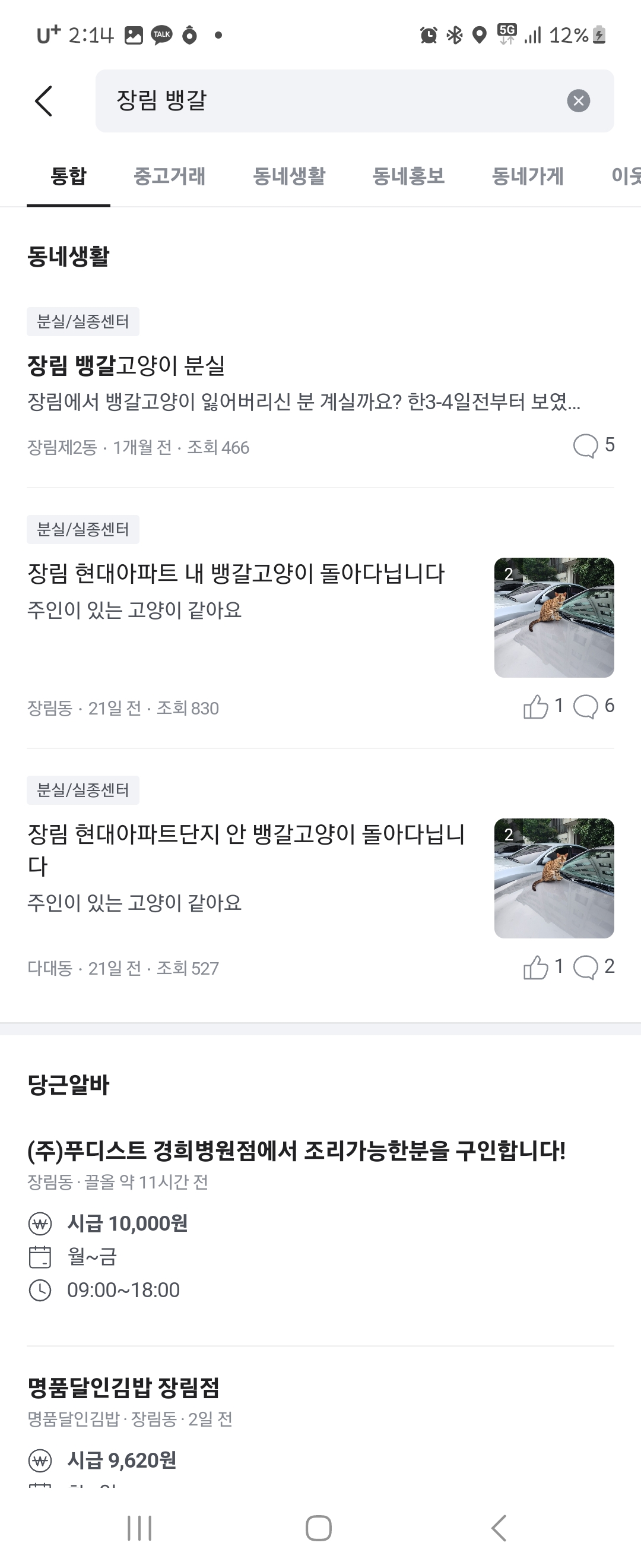 길에 방치한채 관심갖지말라는 주인으로부터 뱅갈고양이를 구해주세요