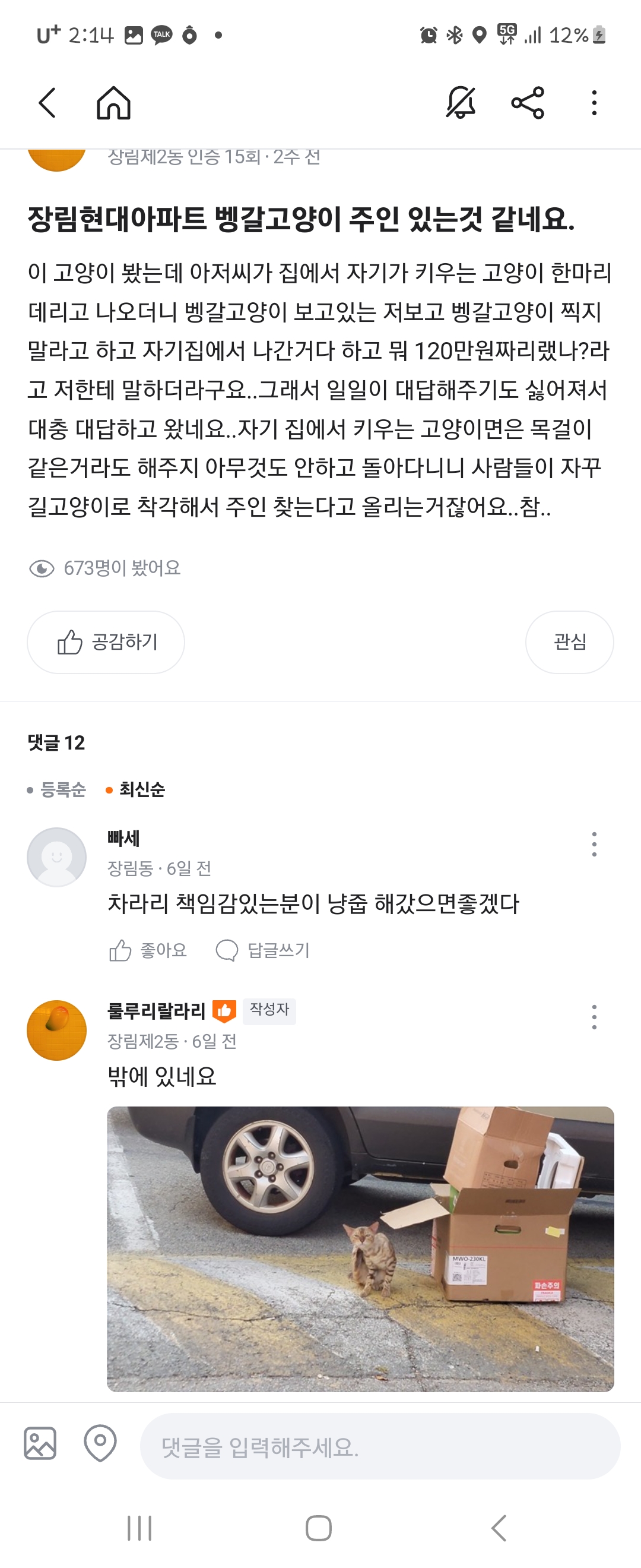 길에 방치한채 관심갖지말라는 주인으로부터 뱅갈고양이를 구해주세요