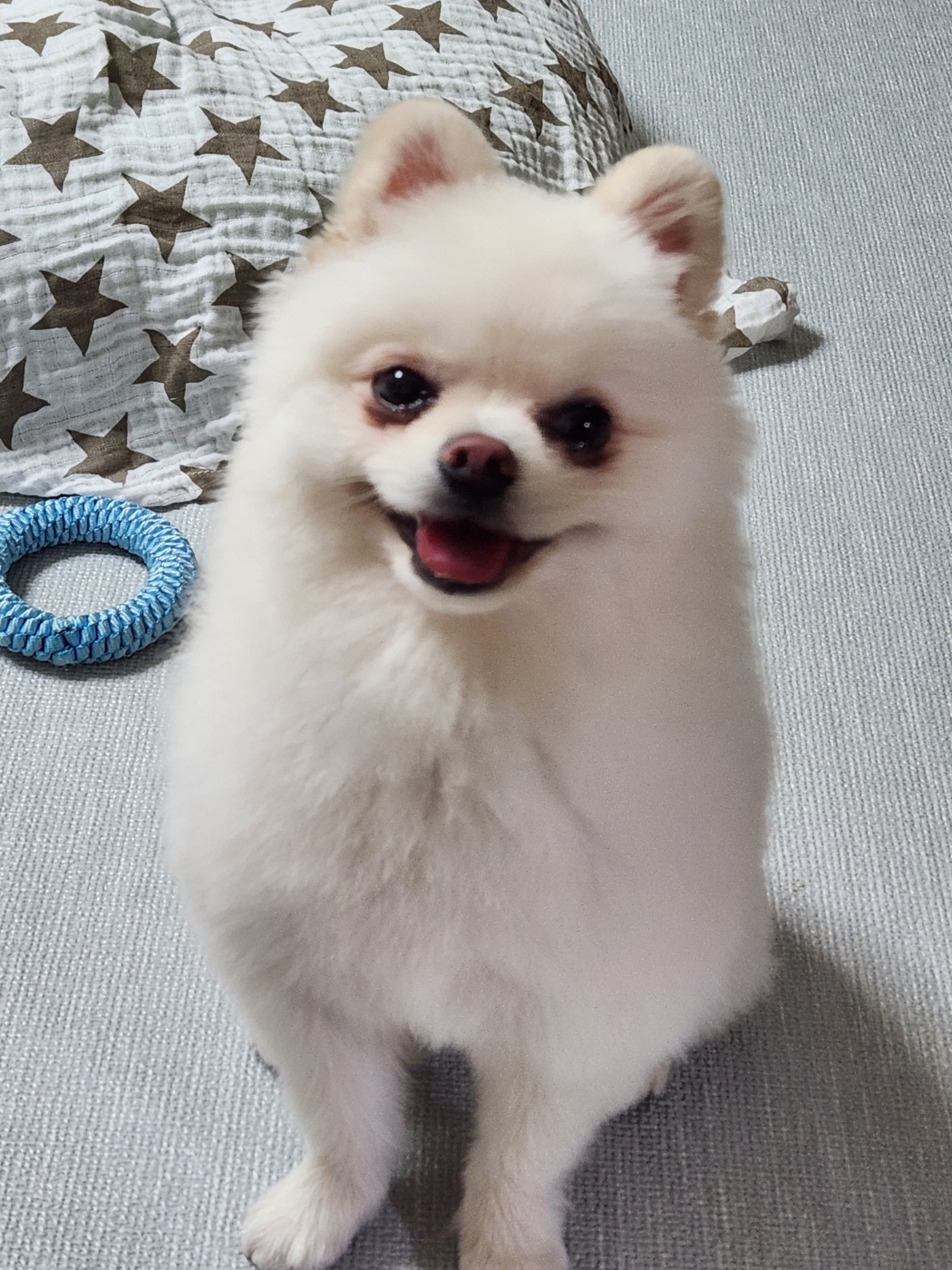 율무(시루) 입양 6개월차