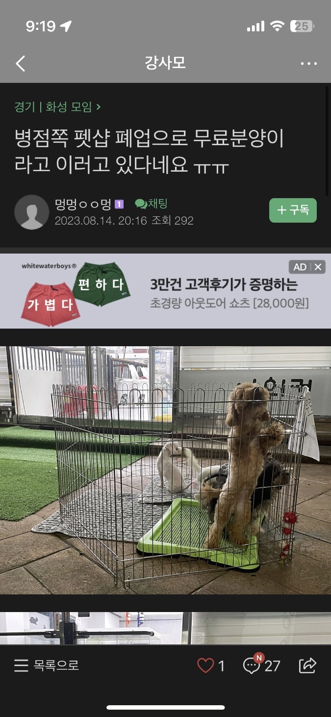 펫샵 폐업으로 남은 동물들 방치학대 