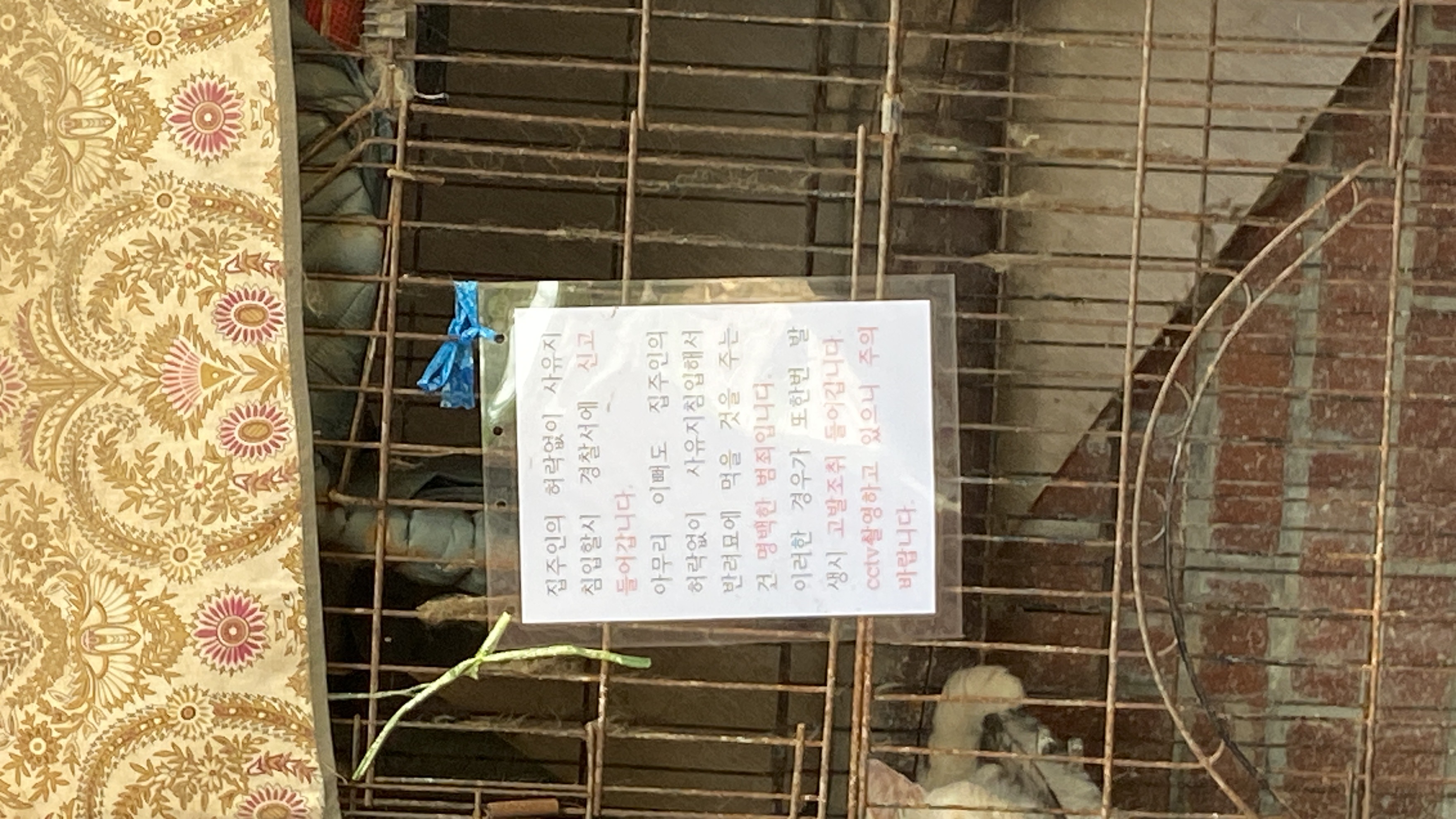 2년 넘게 방치된 고양이