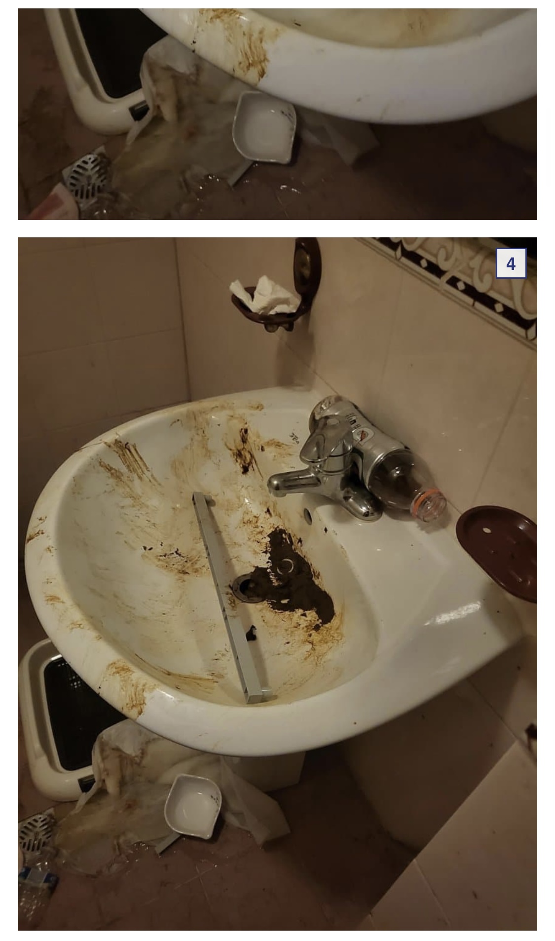 신고합니다
