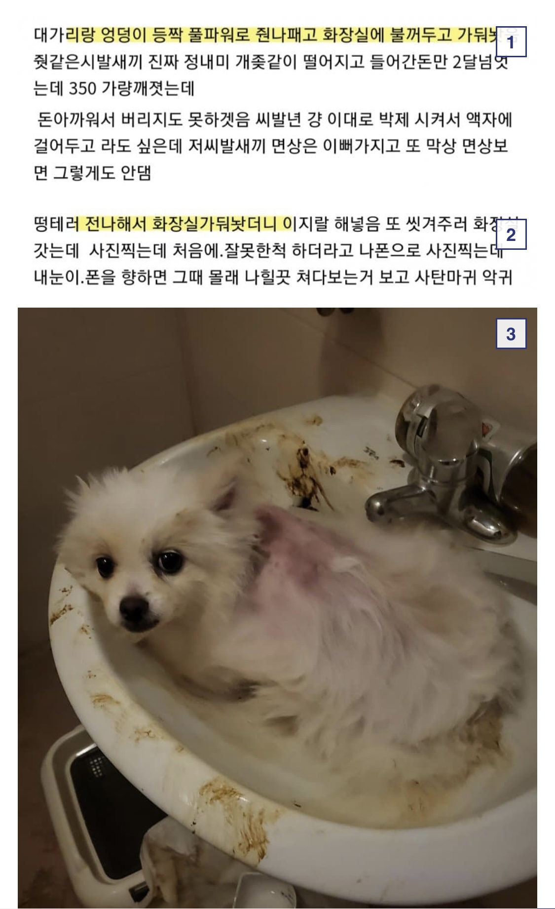 신고합니다
