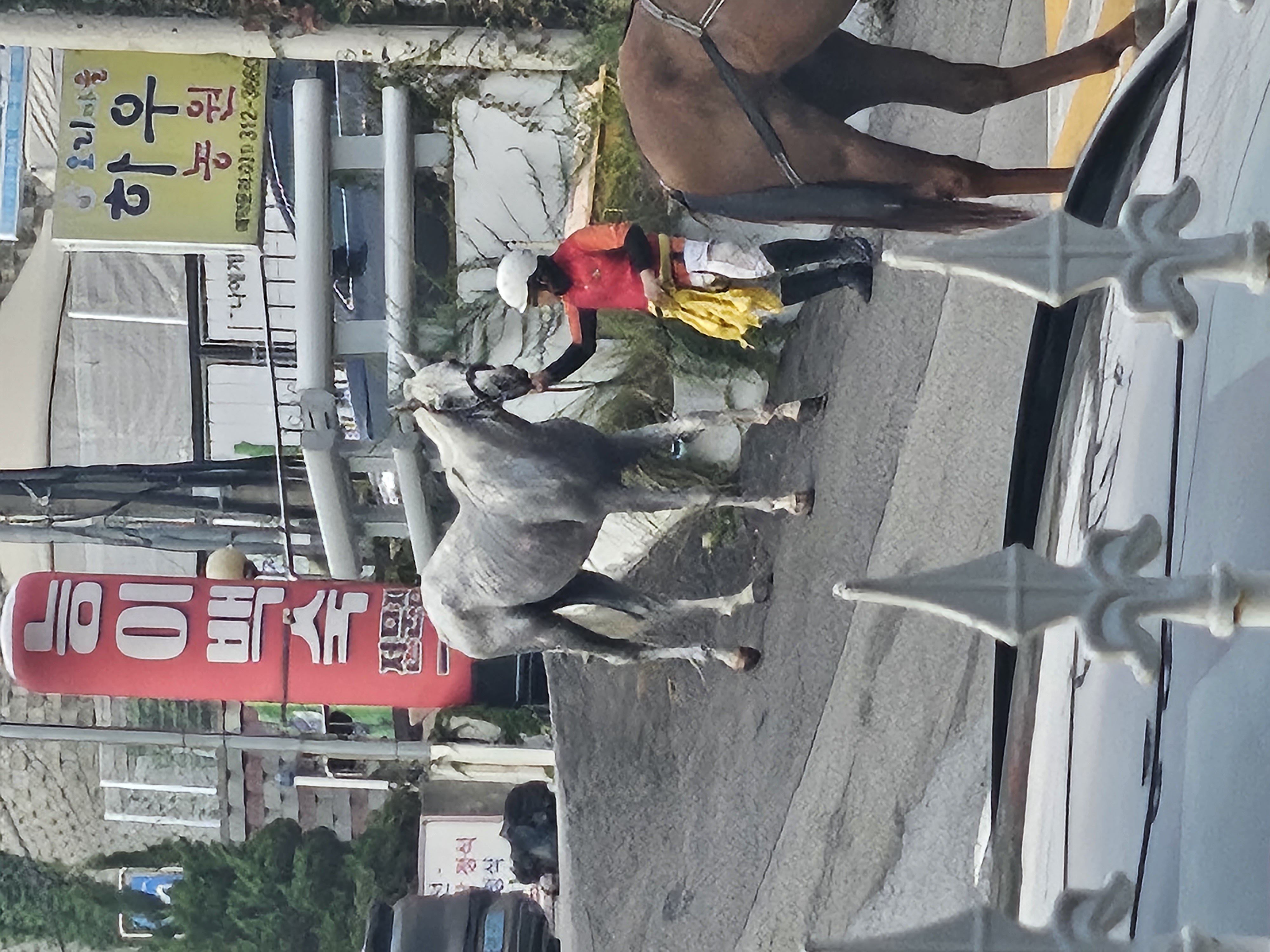 땡볕더위에 뼈가드러나도록 마른 말을 타고 언덕도로를 오르다가 쓰러진 말과 다리부상으로 다리를 절뚝이는 말을 타고 다니던 학대자들 제보합니다