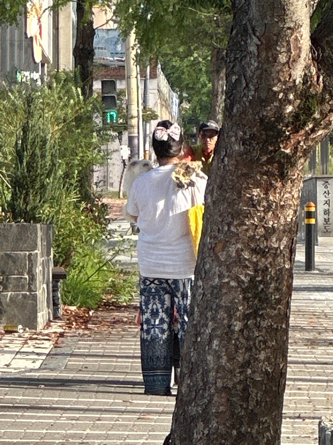 강아지 사체를 매고 다니는 여자