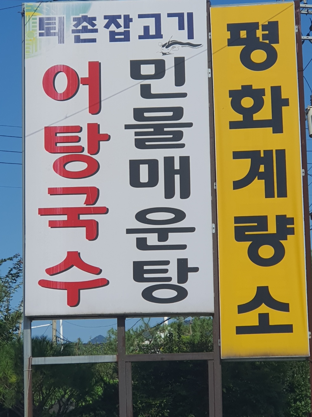 이 아이도 구조 될 수 있을까요? (방치가 심해 보여요)