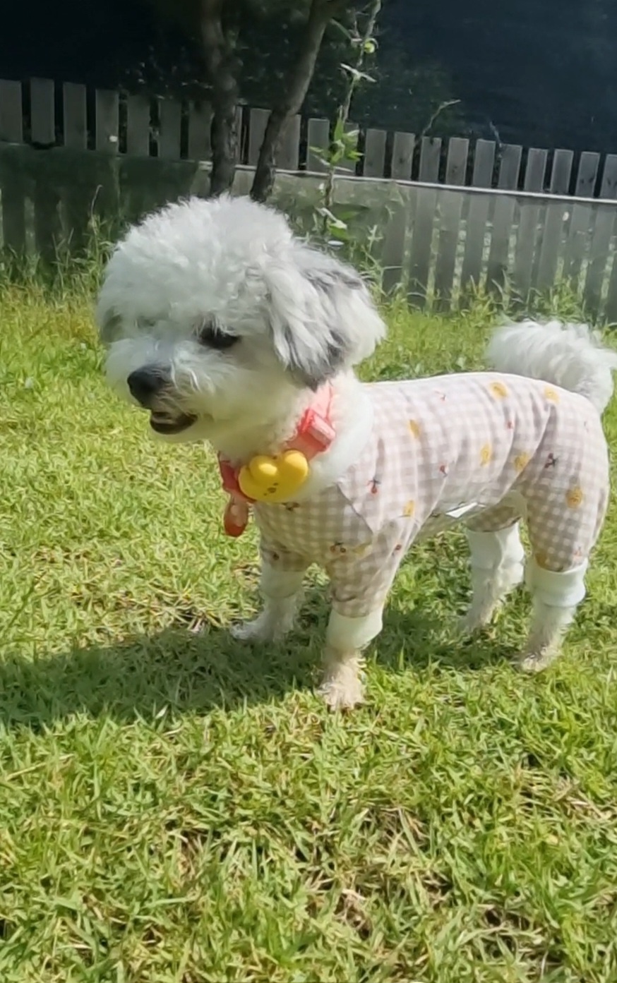 [임보] 🧡달록이🧡의  4개월
