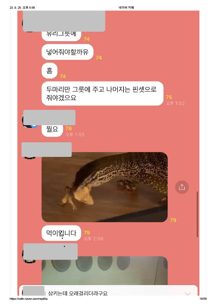살아있는 생물을 피딩하며 재미로 영상을 찍어 공유하는 단톡방을 제보합니다.