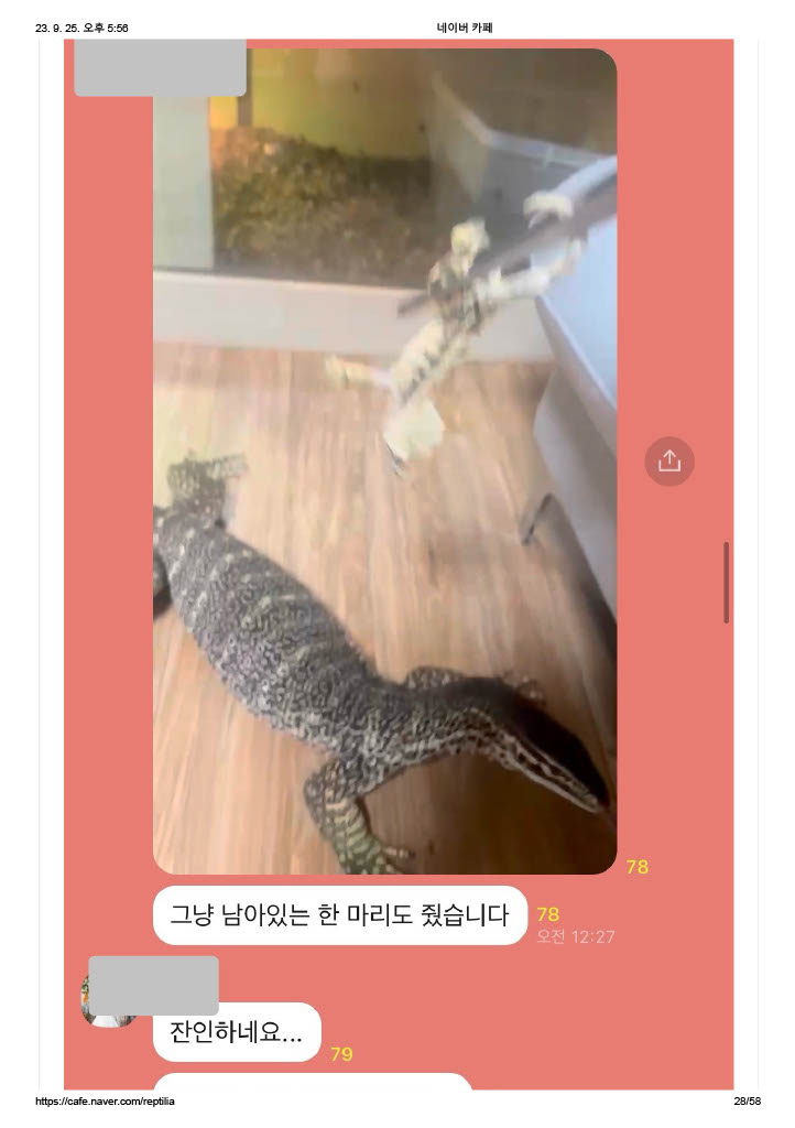 살아있는 생물을 피딩하며 재미로 영상을 찍어 공유하는 단톡방을 제보합니다.