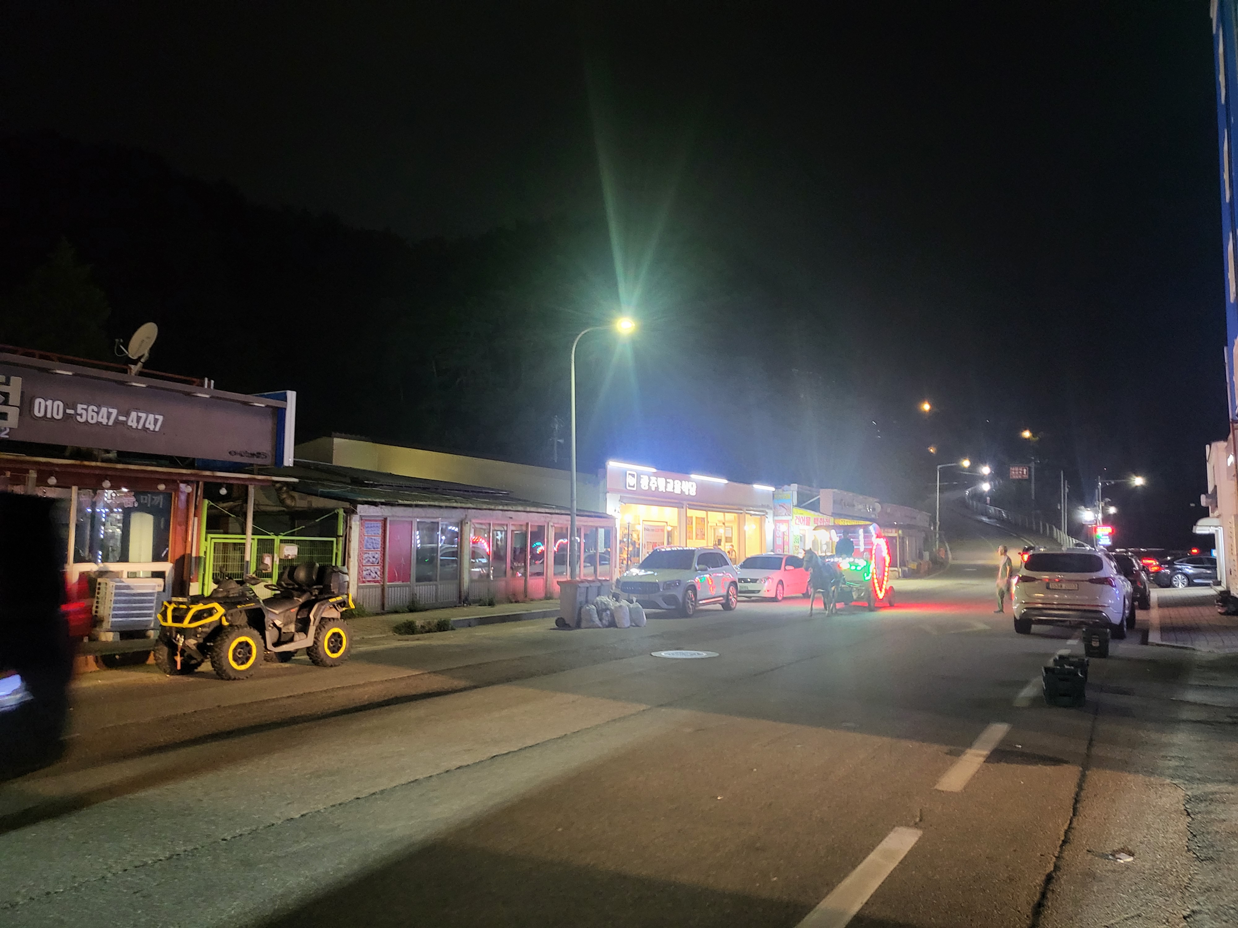 강원도 낙산사 꽃마차 말들이 너무 불쌍해요 구해주세요