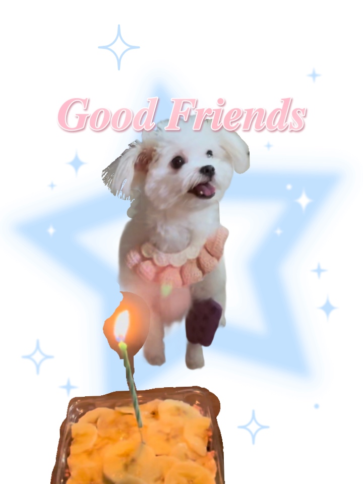 아츄 1주년