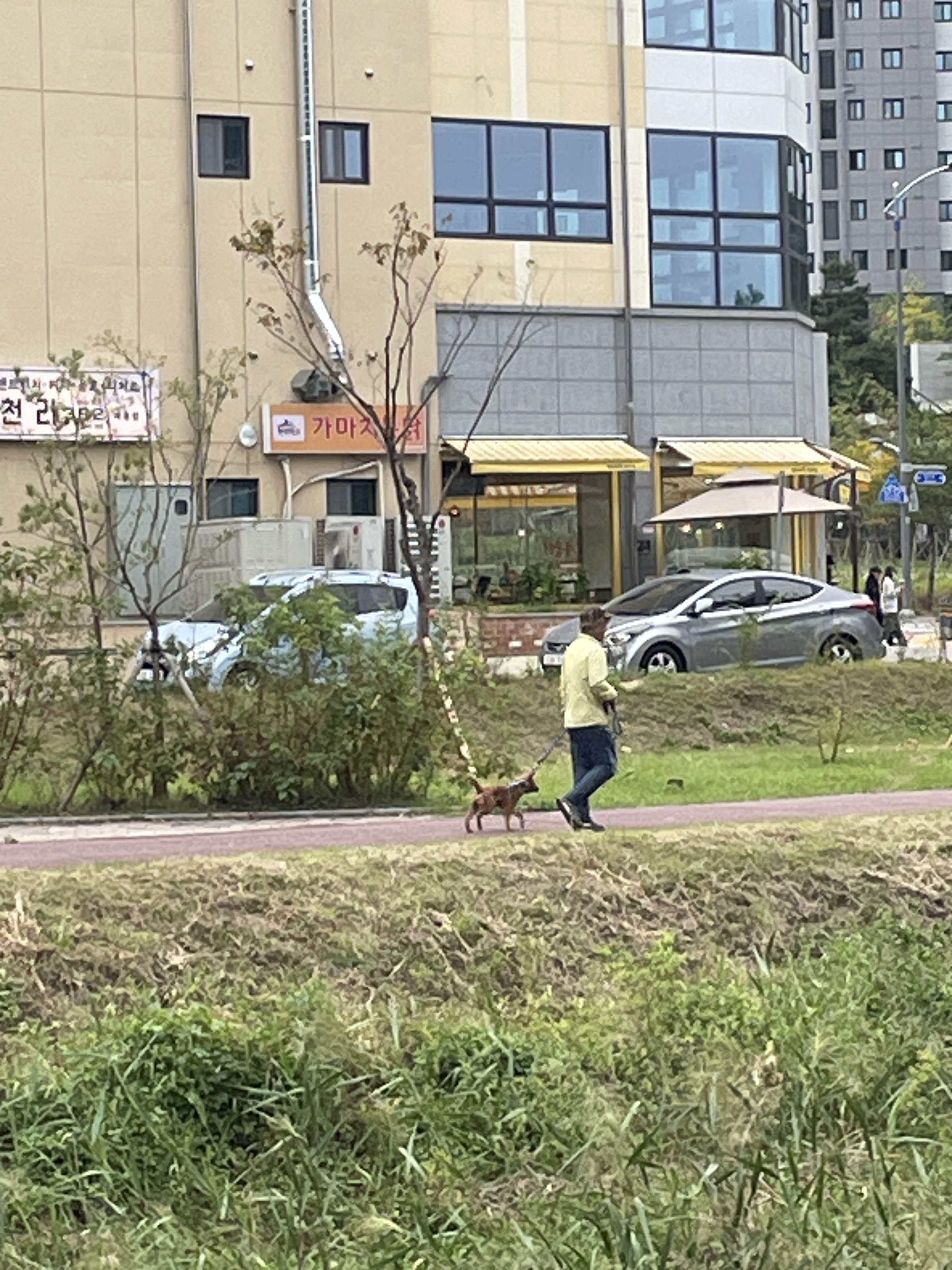 계룡쪽 정신 이상한 아저씨가 개한테 욕을하고 막대합니다