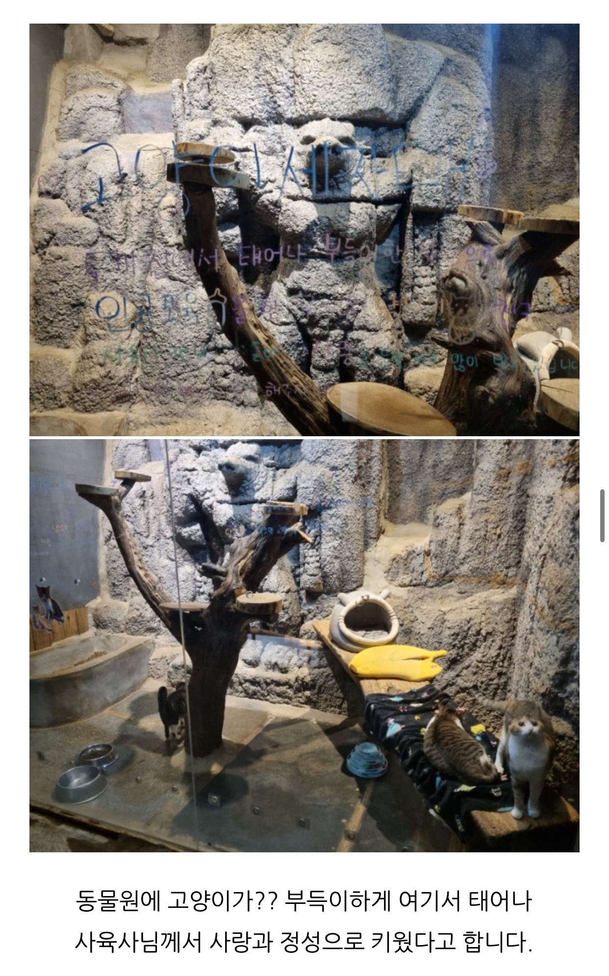 실내동물원 전시동물