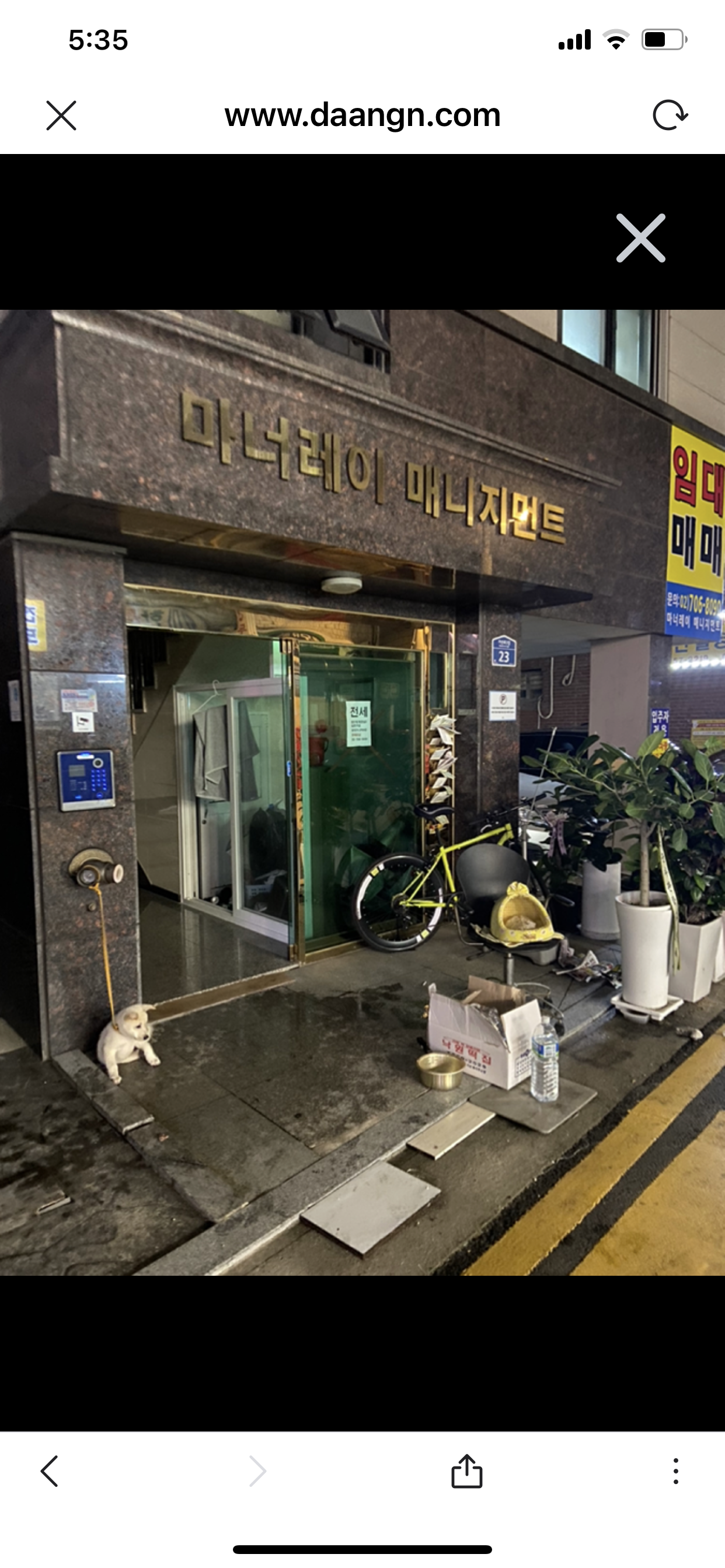 강아지 방치 및 호더 의심