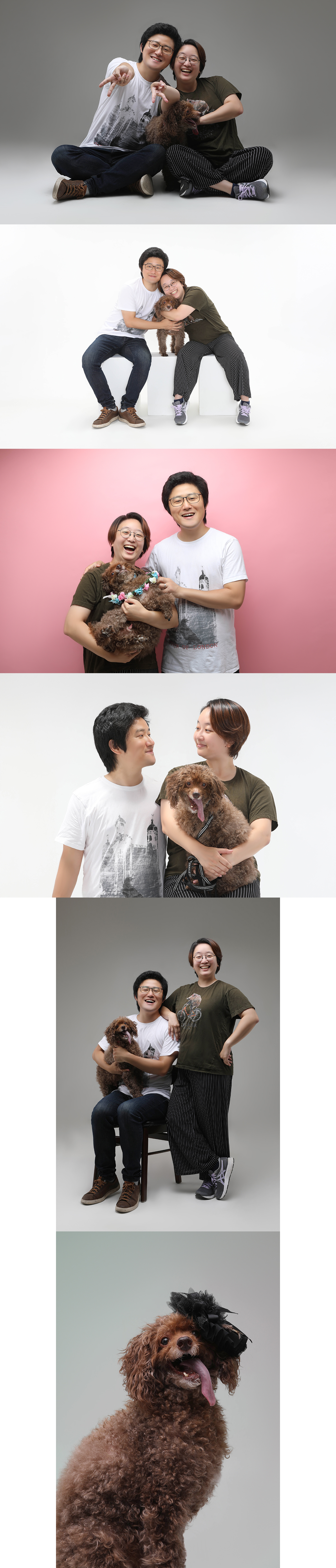 [쪼꼬]입양 3주년, 매일매일 행복해요