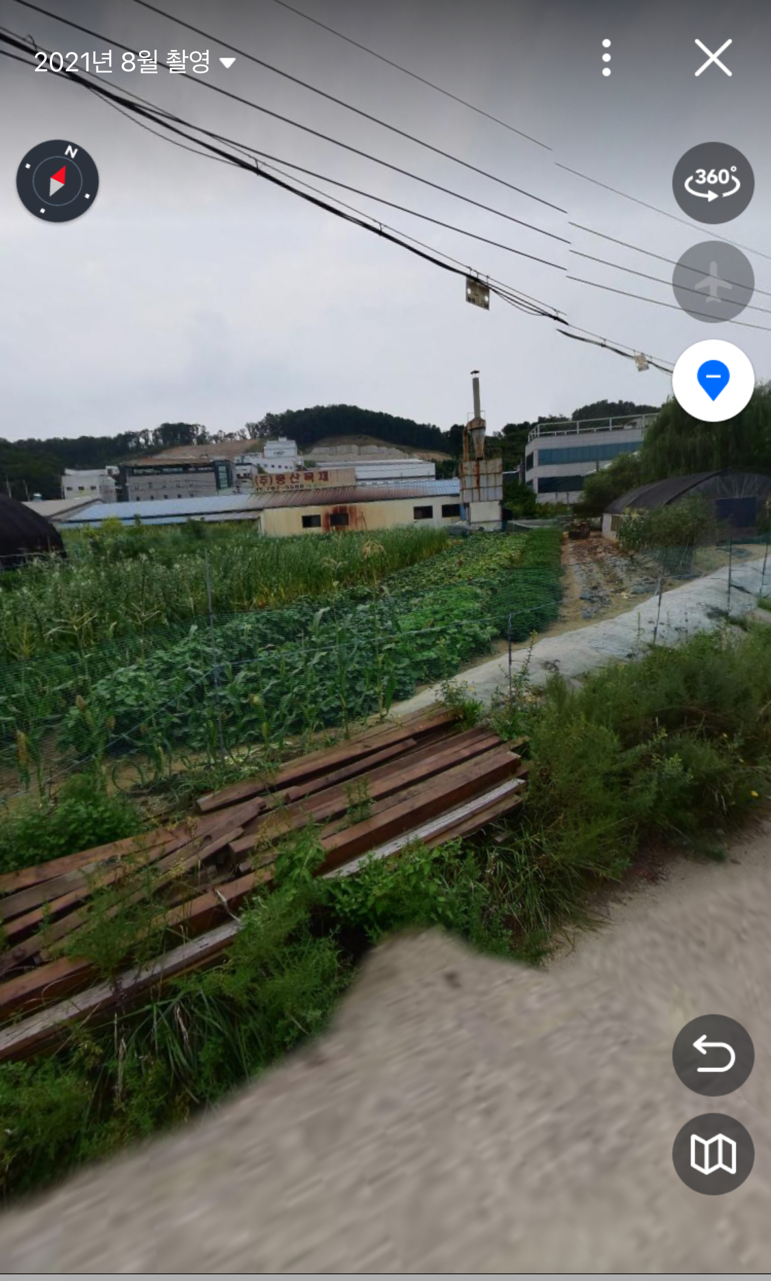 강아지 구조요청합니다.