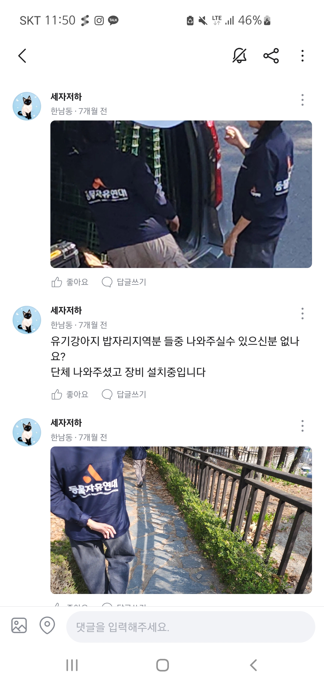 동자연에서 구조했다가 또 떠돌고있는 아이