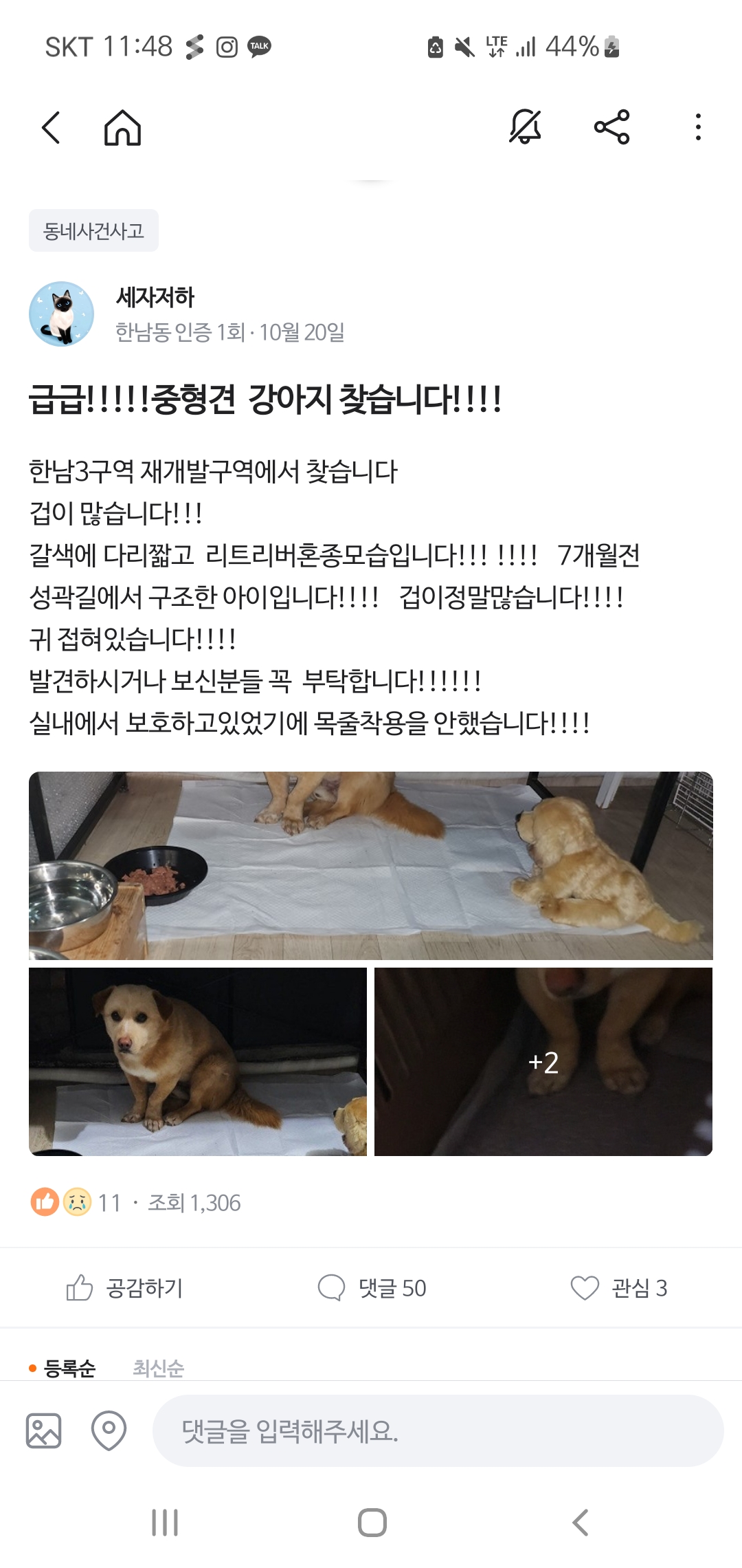 동자연에서 구조했다가 또 떠돌고있는 아이
