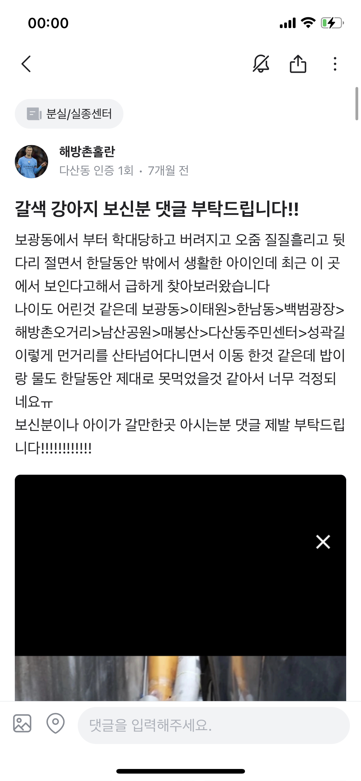 동물자유연대에서 구조후 다시 떠도는 아이