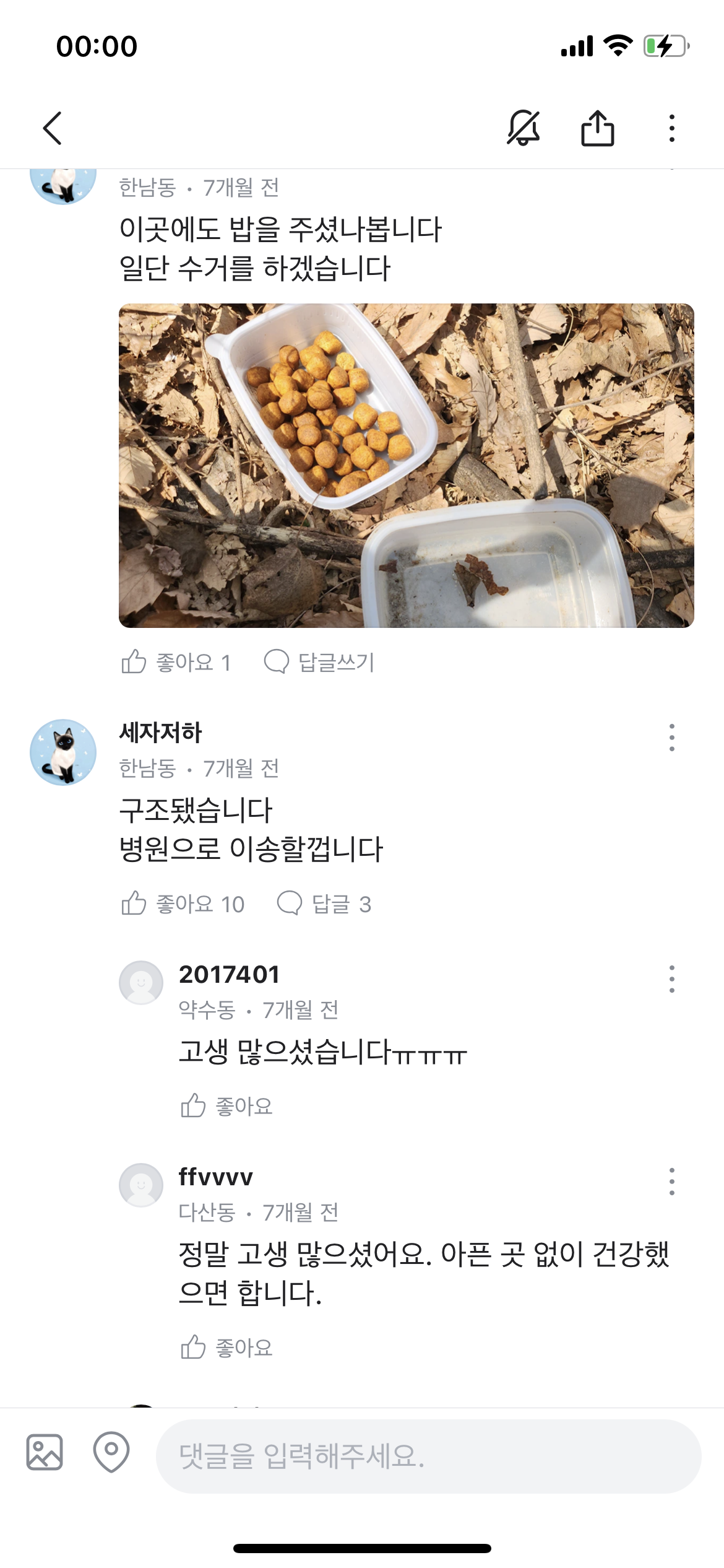 동물자유연대에서 구조후 다시 떠도는 아이