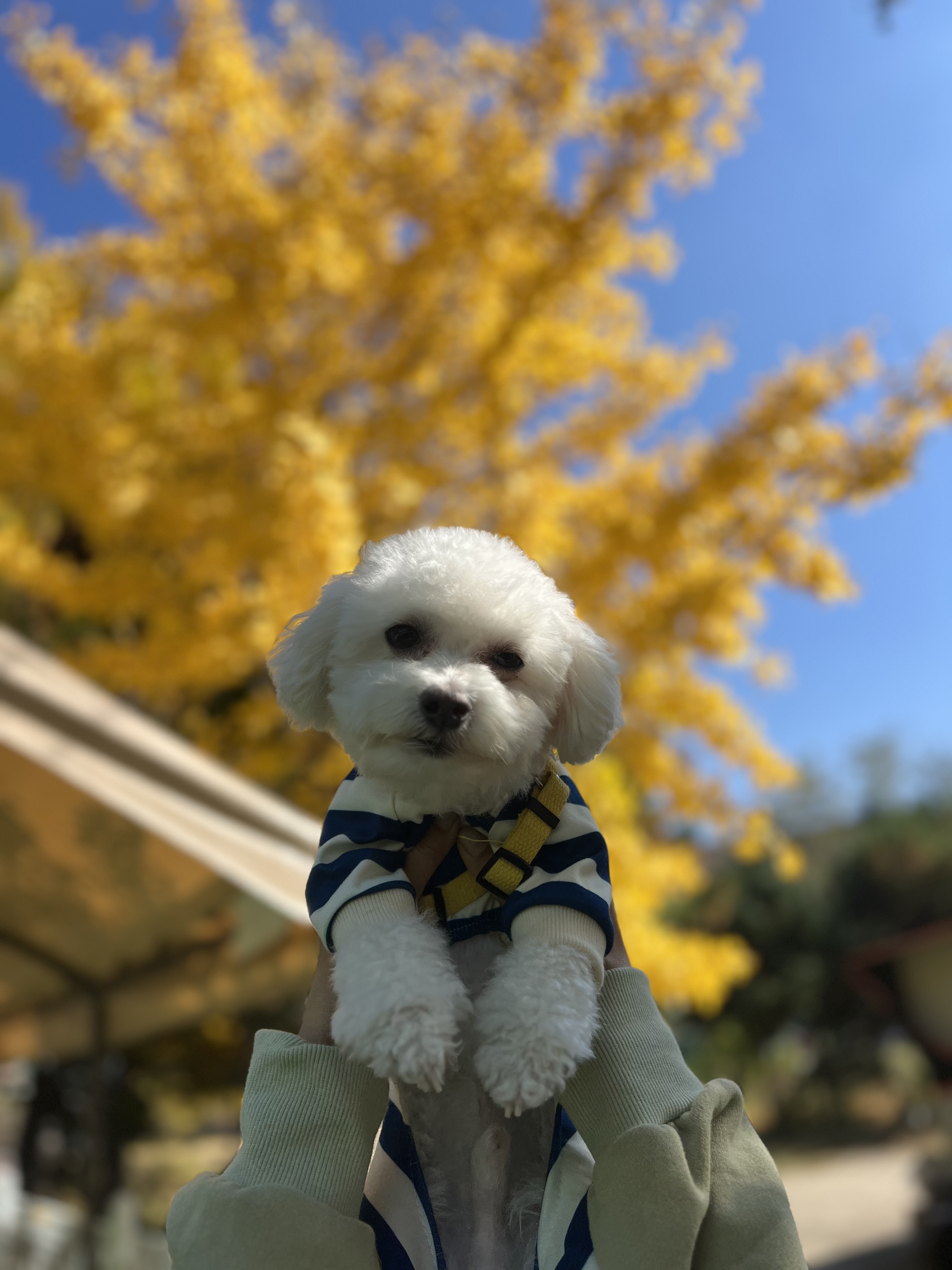 도담(말랭)이와 만난지 3개월