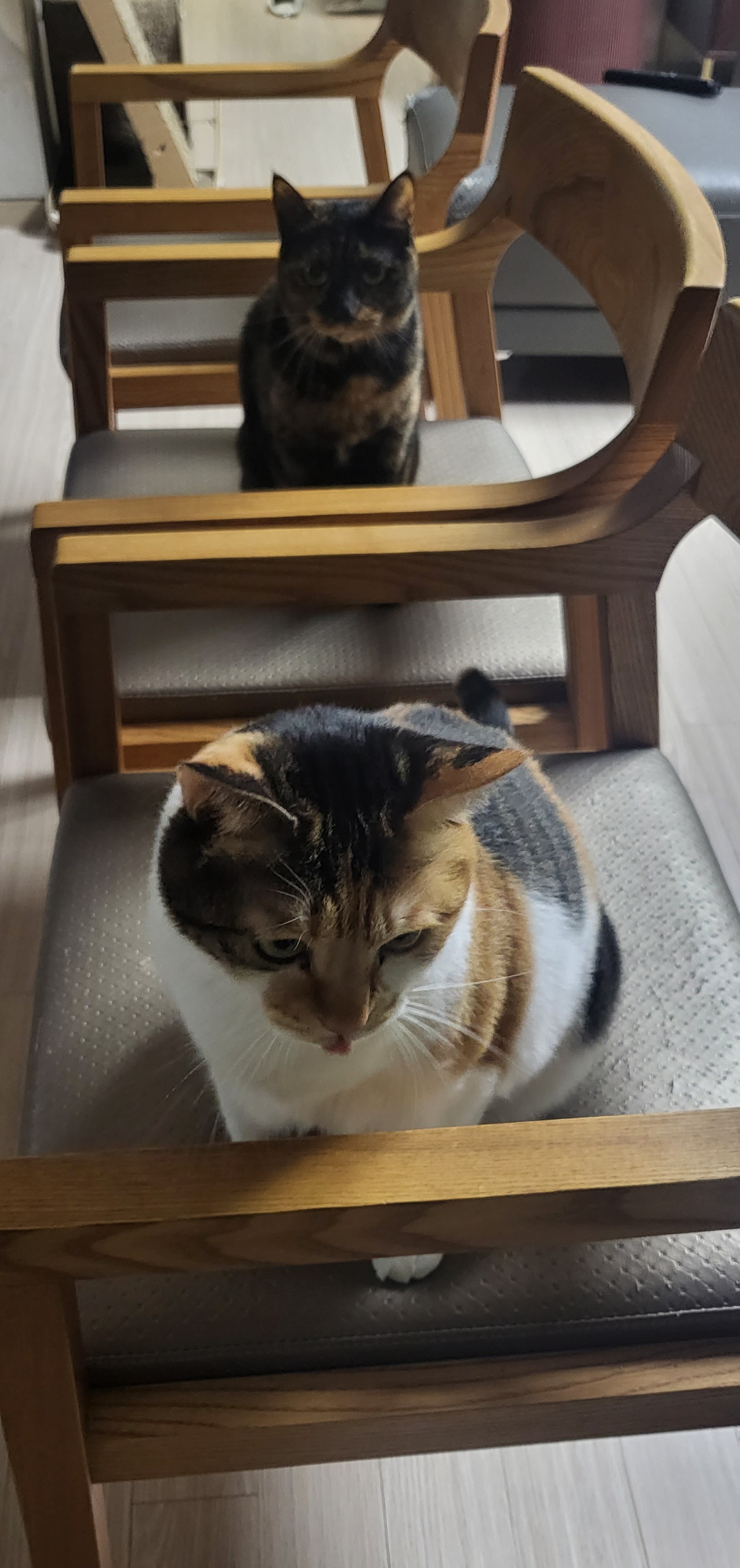 까꿍이 3년 이야기