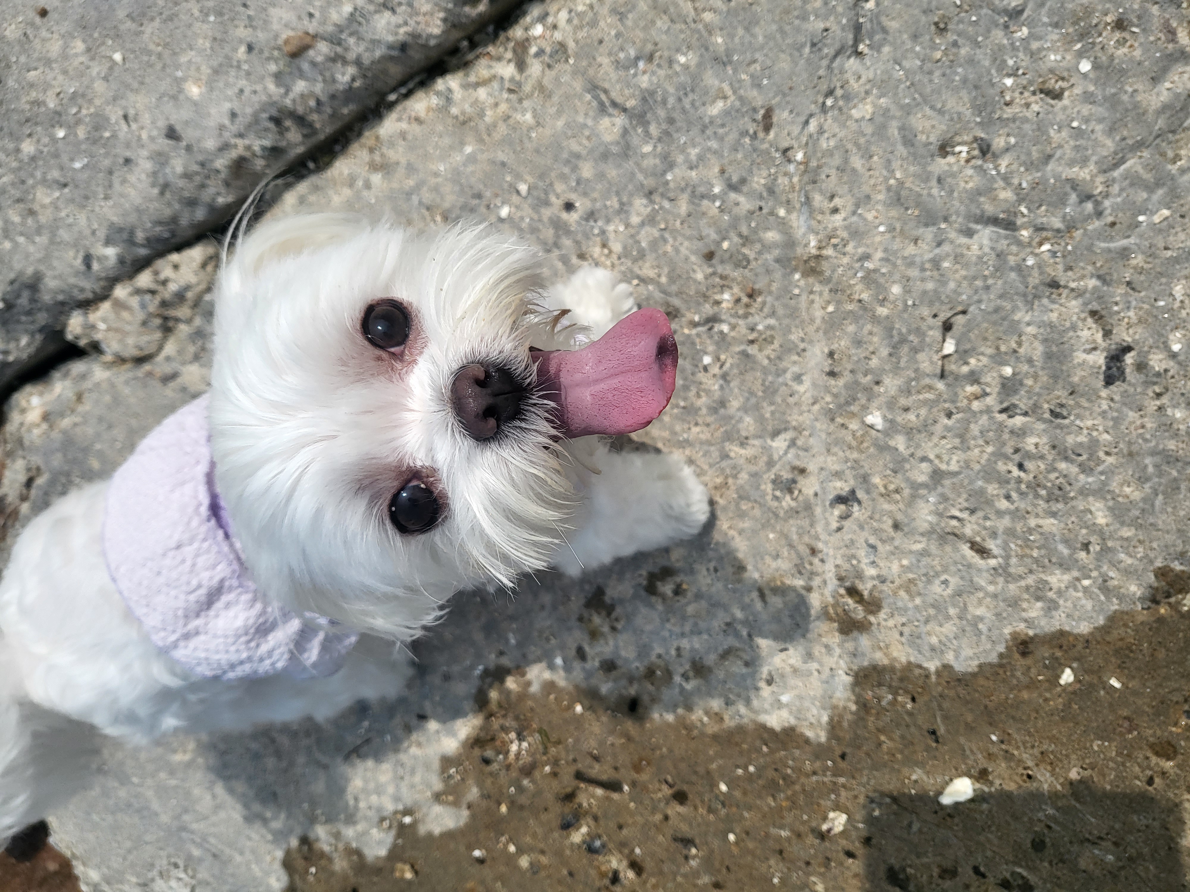 나나(햇살이) 잘 지내고 있어요 ^^
