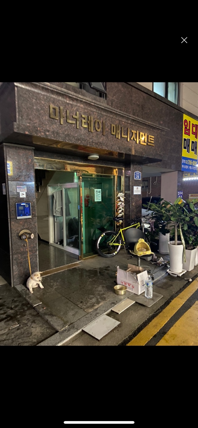 보신탕집 앞에 누가 계속 강아지 유기