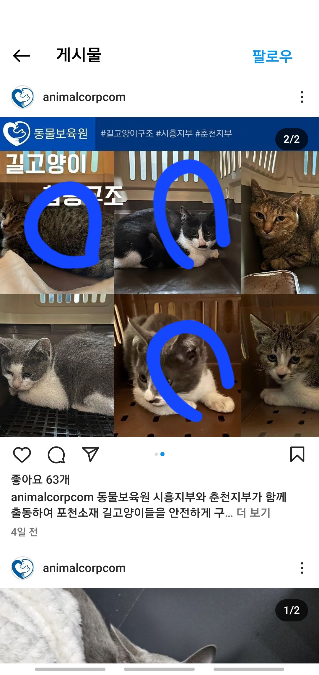 신종펫샵 문의합니다