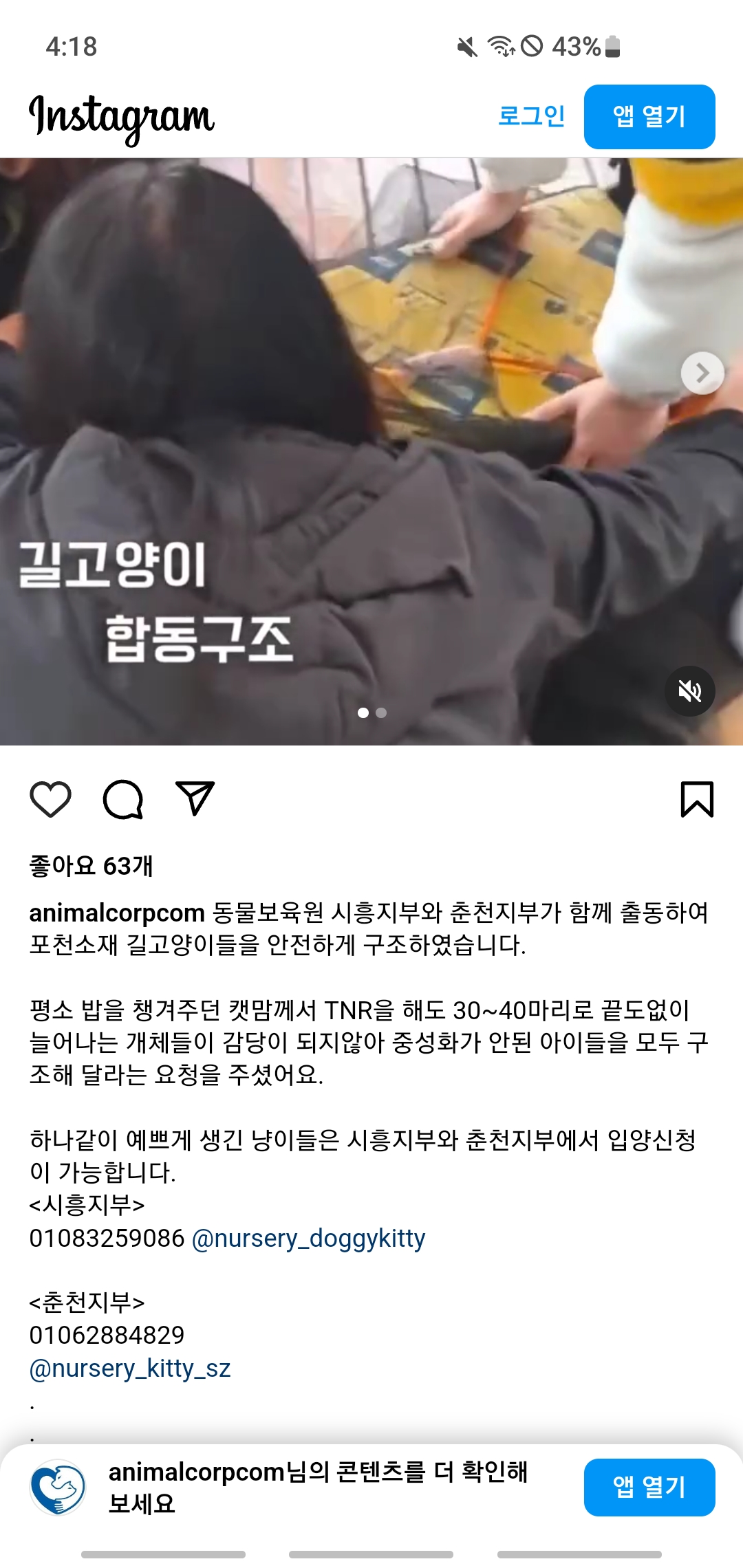 신종펫샵 문의합니다
