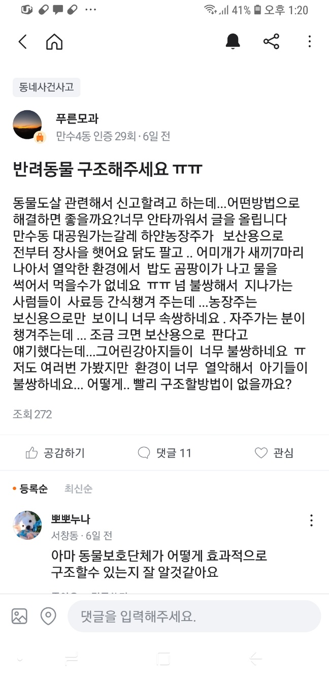 긴급...곧 도살장에 갈 아이들을 살려주세요!!