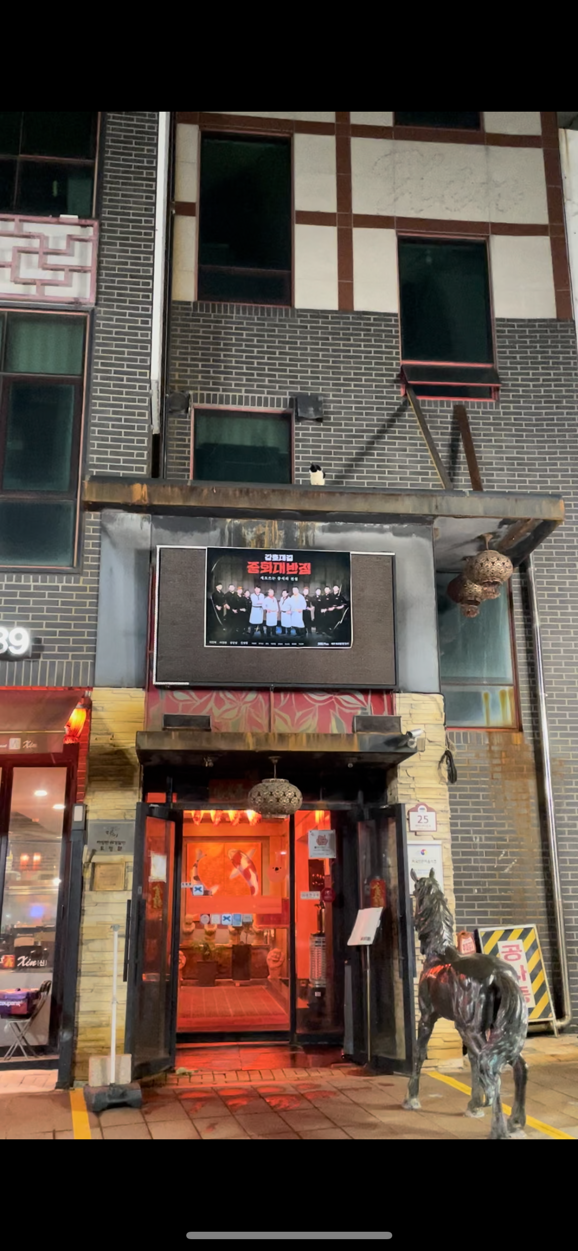 음식점 간판에 갇힌 고양이 제발 도와주세요